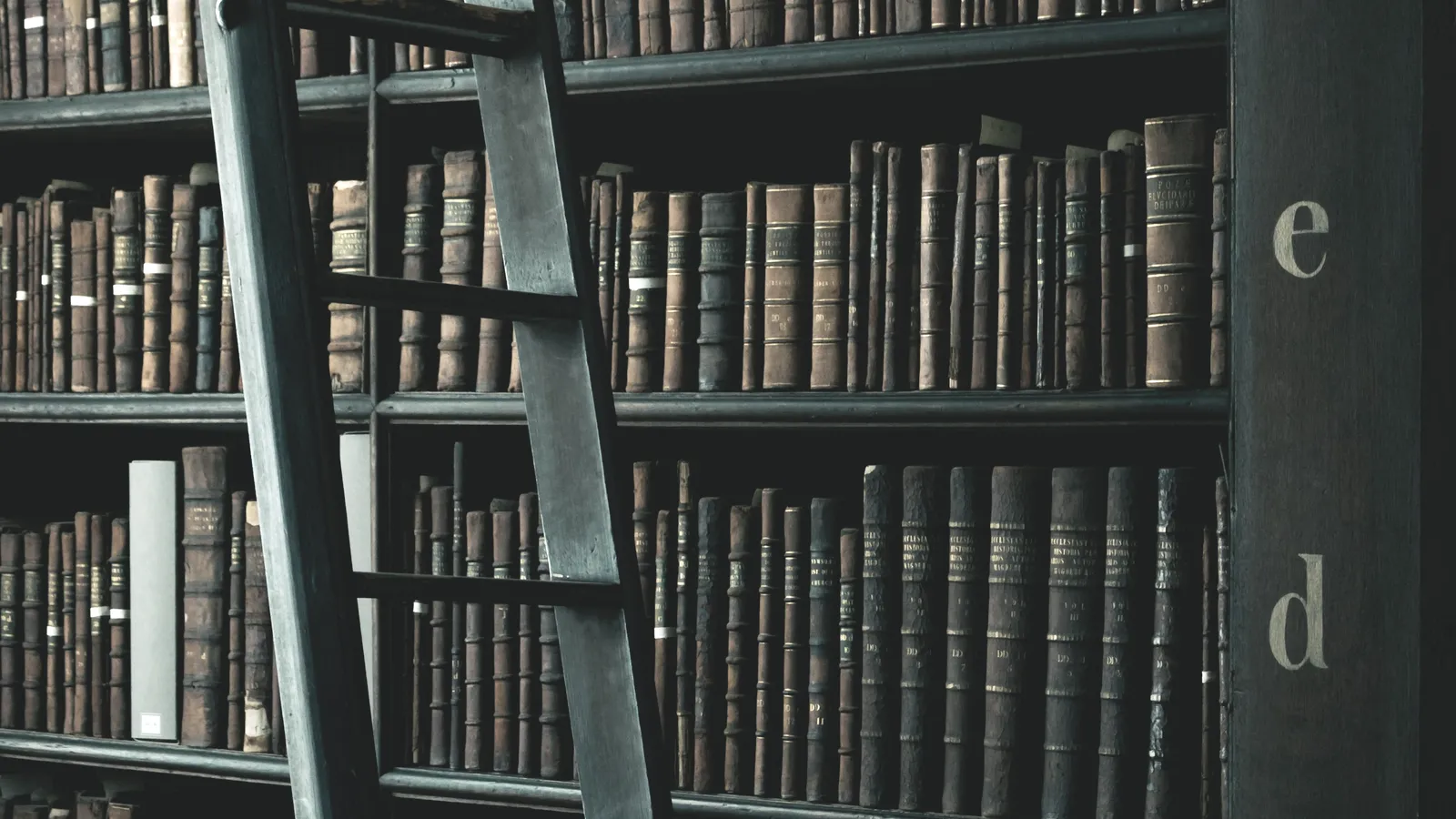 Rayonnages d’une bibliothèque ancienne montant jusqu’au plafond, une échelle de bois appuyée contre les étagères chargées de volumes reliés.